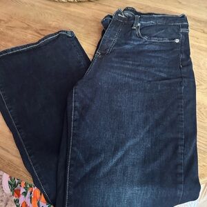Lucky Brand High Rise Stevie Flare Jeans 14/32
